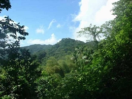 DSCF1191.JPG