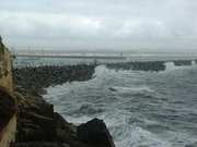 DSCF0710.JPG