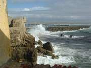 DSCF0732.JPG