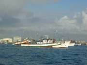DSCF0735.JPG
