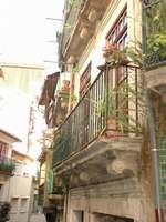 DSCF0469.JPG