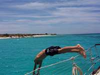 plongeon.jpg